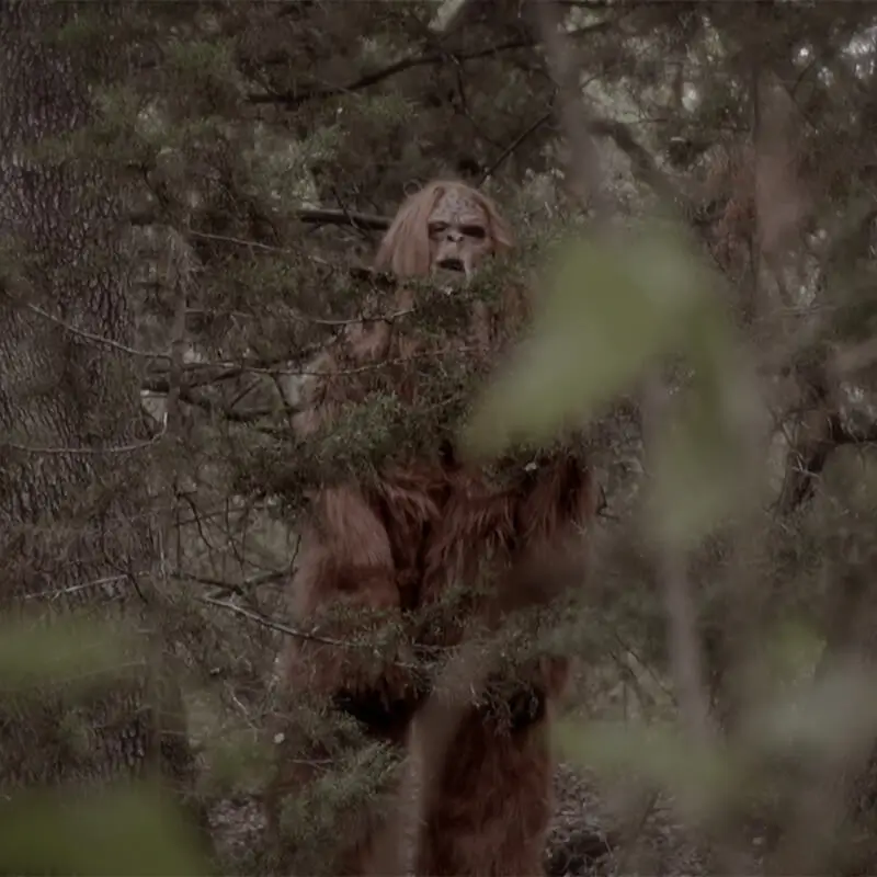 Scary Sasquatch Attack - Short Film – Best Lead Actor / Best Supporting Actor winner at 2024 Sacred Underground Film Festival